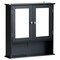 Mirror Wall Mounted Cabinet For the Bathroom and Vanity with Adjustable Shelves
